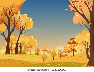 Autumn landscapes of Countryside in evening Sunset with morning sky,Panoramic of mid autumn in farm field, wild forest with leaves falling from tree in orange foliage. Wonderland in fall season