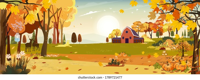 Autumn landscaps with fram fields wooden barn and grass land in hills, Natural foliage background in fall seson with beatiful panoramic view with sunset behind montains and leaves falling from tree 