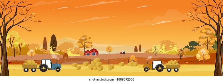 Autumn Landscaps With Harvest Fram Fields, Tractor,wooden Barn On Hills, Natural Foliage Background In Fall Seson With Panoramic View Of Eco Village With Grass Land In Sunny Day 