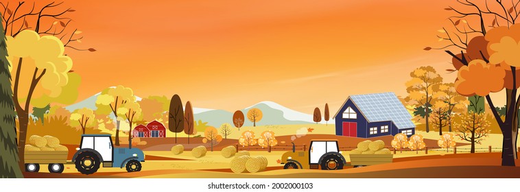 Autumn Landscaps With Harvest Fram Fields, Tractor,wooden Barn On Hills, Natural Foliage Background In Fall Seson With Panoramic View Of Eco Village With Grass Land In Sunny Day 