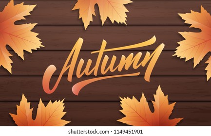 Autumn. Autumn layout design with wooden background and fall leves. Autumn sale, promotion, banner