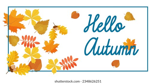 autumn layout. autumn leaves on a white background and phrase Hello autumn