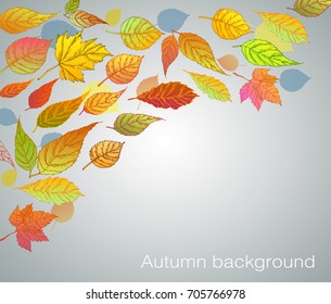Autumn leaes background. Vector illustration