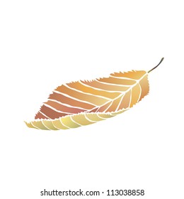 Autumn leaf