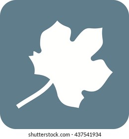 Autumn Leaf