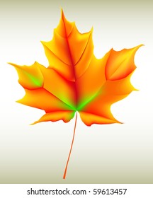 Autumn leaf