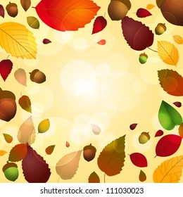 autumn leaf and acorn background