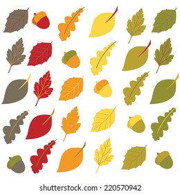 Autumn Leaf and Acorns Vector Clip Art Set. Includes a variety of leaves and acorn graphics on a white background in a range of Fall colors. Created using vector software: Adobe Illustrator.