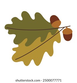 Autumn leaf with acorns vector illustration graphic design.