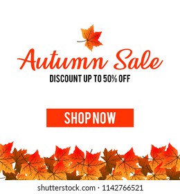 Autumn leaf background