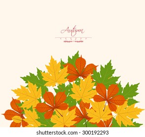 autumn leaf background