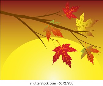 Autumn leaf background