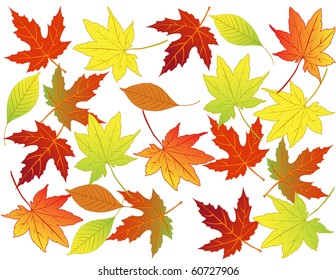 Autumn leaf background