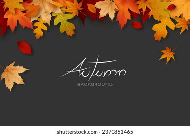 Autumn leaf background border design with copy space