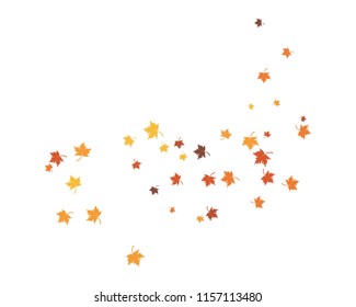 autumn Leaf background concept  template vector illustration