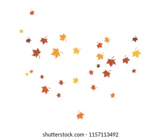 autumn Leaf background concept  template vector illustration
