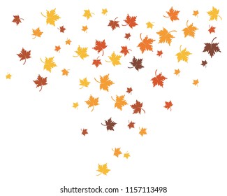 autumn Leaf background concept  template vector illustration
