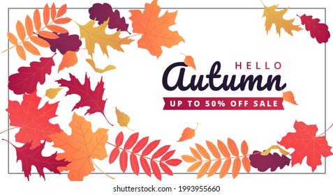 Autumn leaf background. Seasonal sale banner template. Vector illustration