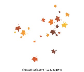 autumn Leaf background template vector illustration