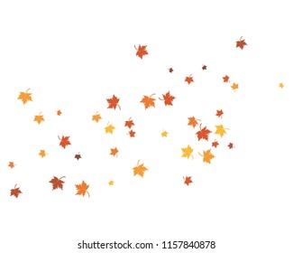 autumn Leaf background template vector illustaration