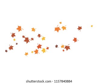 autumn Leaf background template vector illustration