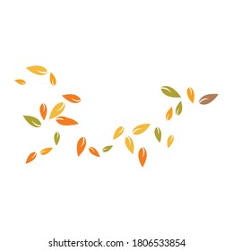 autumn Leaf background template vector illustration