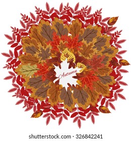 Autumn leaf background. Vector illustration.