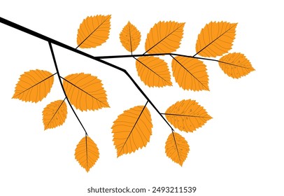 Autumn leaf branch. Vector illustration.