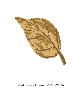 Autumn Leaf Brush Style Vector Illustration Isolated on White Background