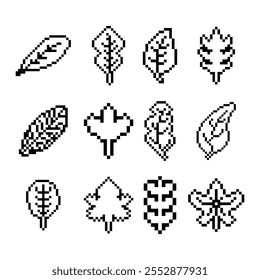 autumn leaf bundle outline pixel art 