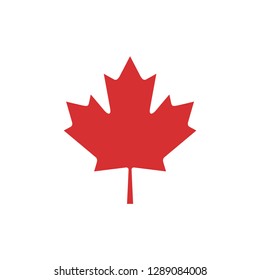 Autumn leaf canadian icon vector