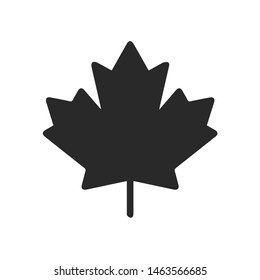 Autumn leaf canadian icon vector