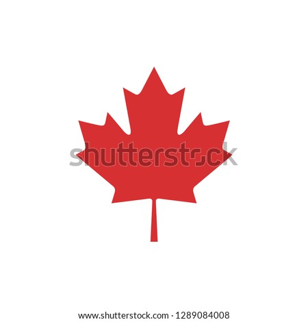 Autumn leaf canadian icon vector