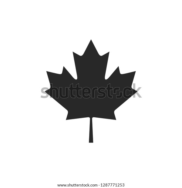 Autumn leaf canadian icon\
vector