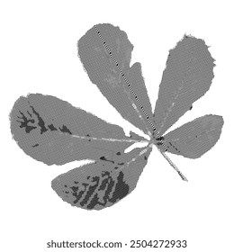 Autumn leaf collage element with dotted halftone effect. Grunge y2k fall isolated object. Retro vector illustration on transparent background