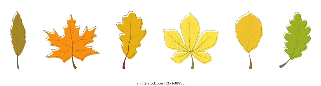 Autumn Leaf collection. Autumn Leaves vector icons. Autumn Leaf. Leaves. Vector illustration