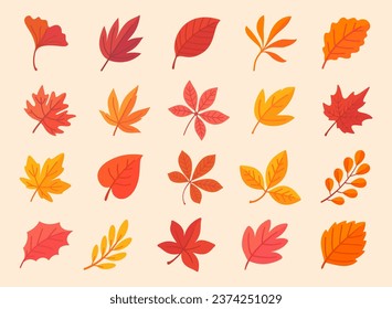 Colección de hojas de otoño Hojas de arce naranja en el diseño sencillo de otoño