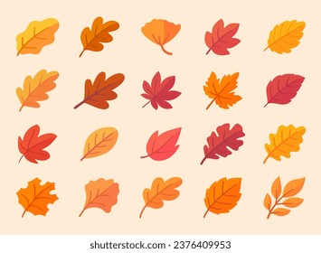 Autumn leaf collection Orange maple leaves in autumn simple design