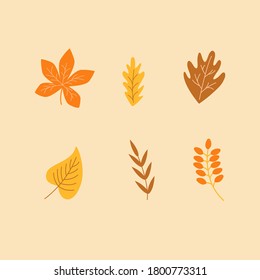 autumn leaf collection. leaf set