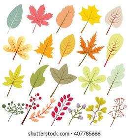 Autumn leaf collection with a lot of variation and color