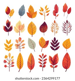 autumn leaf collection vector illustration 