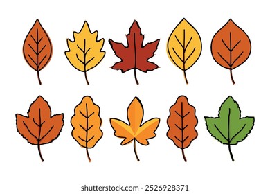 autumn leaf collection vibrant hues