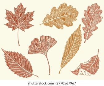 Autumn Leaf Collection in Warm Crayon Crosshatch Style Vector Set