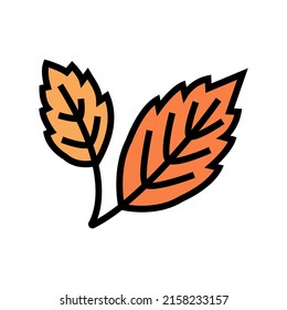 autumn leaf color icon vector. autumn leaf sign. isolated symbol illustration