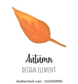 Autumn leaf colored vector element, isolated fall color leaf design element.