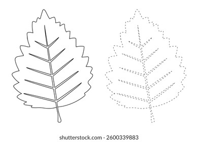 Autumn leaf coloring pages for kids. Trace and color autumn leaf. Maple leaf coloring page. Kindergarten and preschool worksheets printable for kids. Bright Autumn Leaf. Maple leaves clipart, icon.
