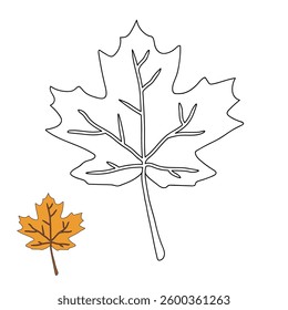 Autumn leaf coloring pages for kids. Trace and color autumn leaf. Maple leaf coloring page. Kindergarten and preschool worksheets printable for kids. Bright Autumn Leaf. Maple leaves clipart, icon.