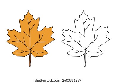 Autumn leaf coloring pages for kids. Trace and color autumn leaf. Maple leaf coloring page. Kindergarten and preschool worksheets printable for kids. Bright Autumn Leaf. Maple leaves clipart, icon.