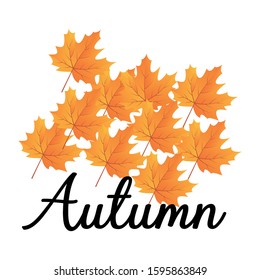 Autumn Leaf colourful vector illustration design suitable for fabric print / print on any colour t shirts, vector illustration design