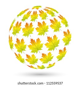 Autumn leaf concept